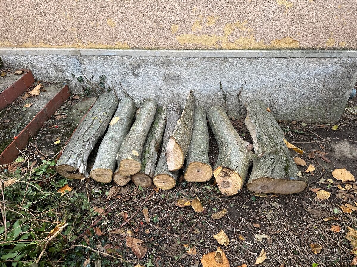 Palivové drevo Orech