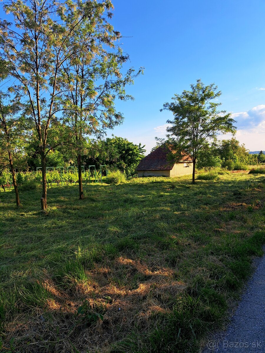 POZEMOK 757 m ČECHYNCE