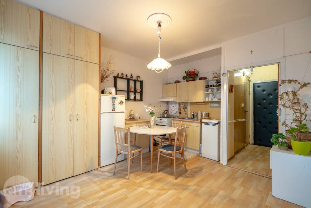 Priestranný - 1izb. byt až 38 m2  - Ilava