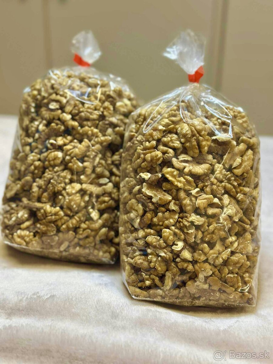 Orechy vlašské tohtoročné