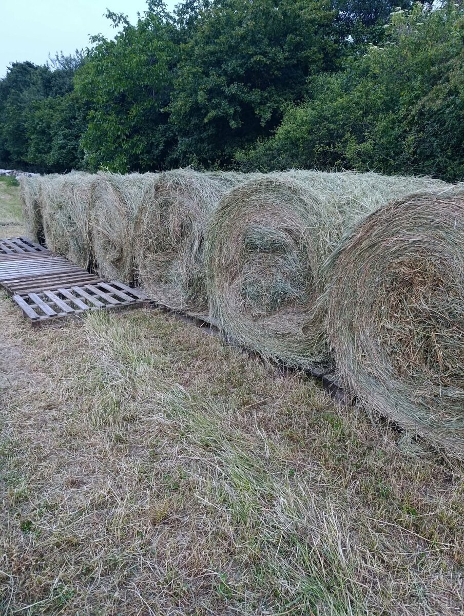 Predám guľaté balíky sena.