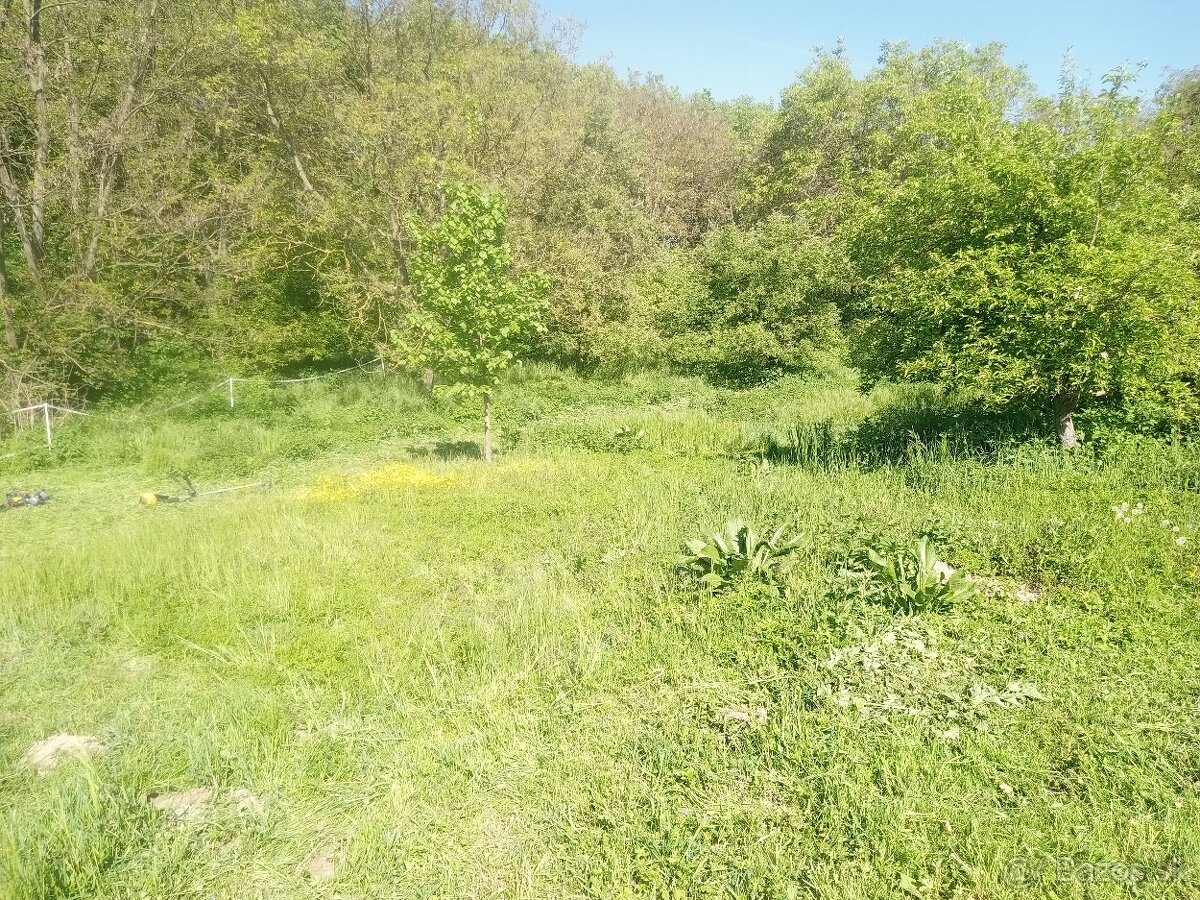 Údržby a kosenie záhrad