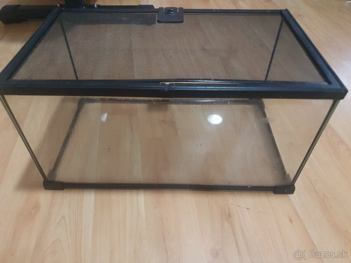 Terarium