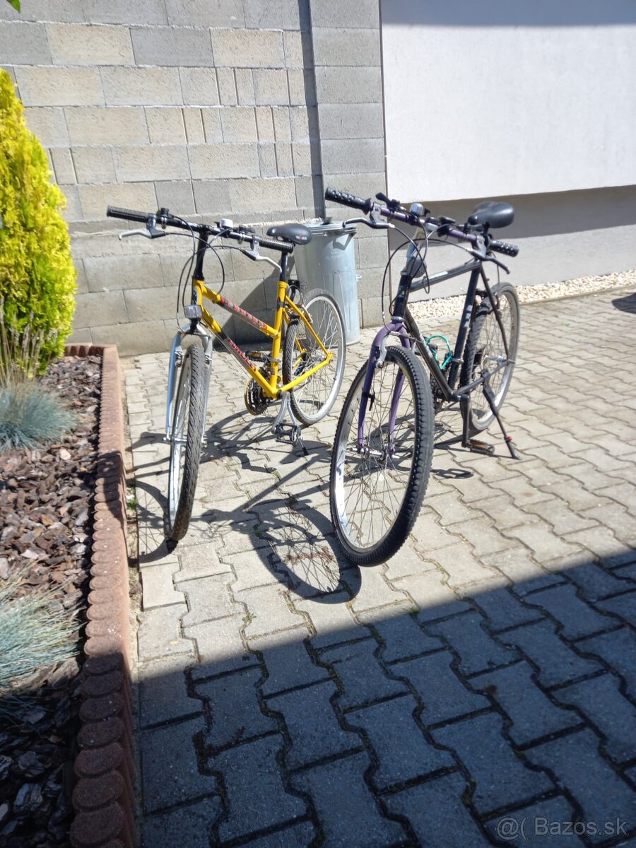 Bicykel dámsky