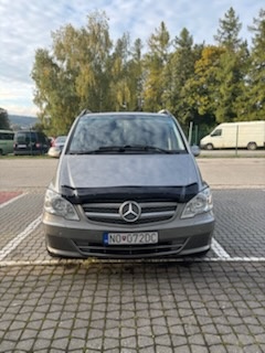 MERCEDES VIANO
