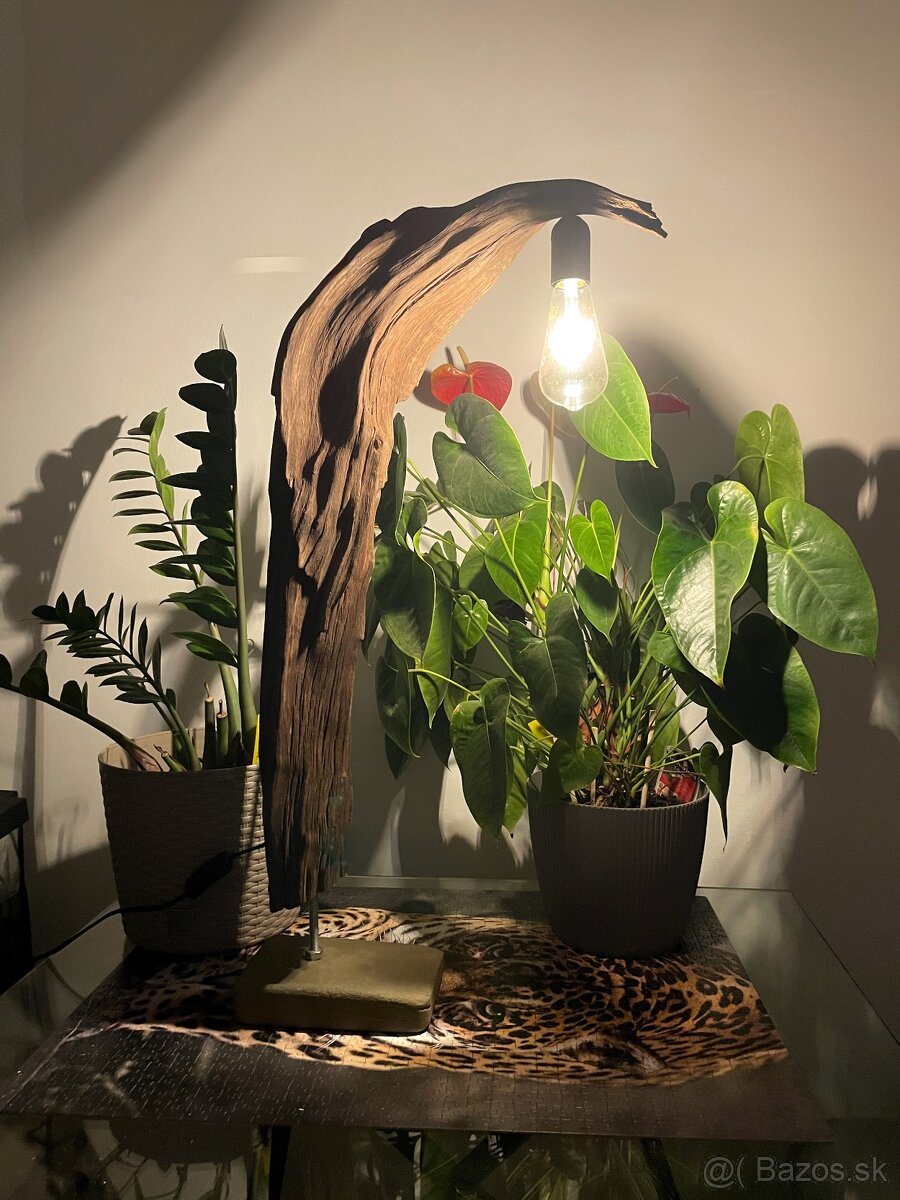 Stolná lampa, dubový koreň