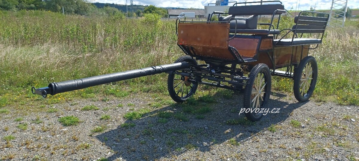 Bryčka koč vagoneta maraton koňský povoz