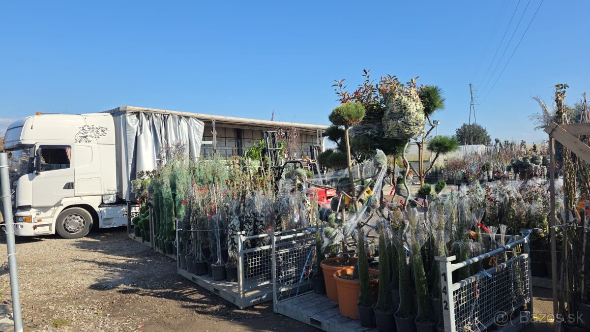 Praca v zahradnictve