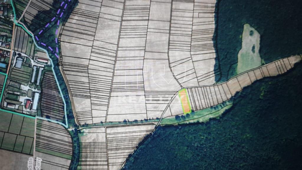 POZEMOK Orná pôda/ 3500 m2 / SKAČANY - Partizánske/ Príroda