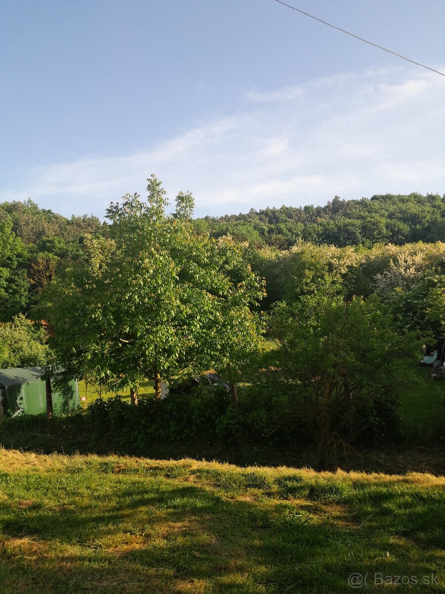 Predaj pozemok Nitra Kolíňany