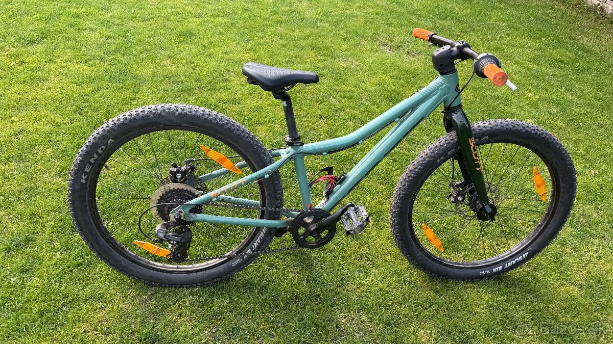 Scott Roxter 24