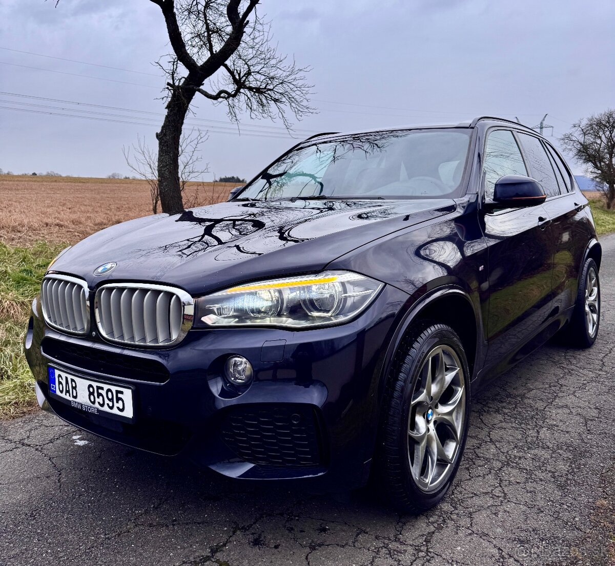 BMW X5 xDrive 3.0 diesel (230 kW R.v 2017