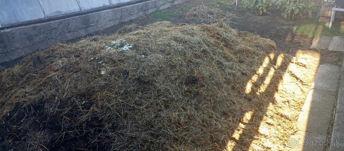 Darujem konský hnoj