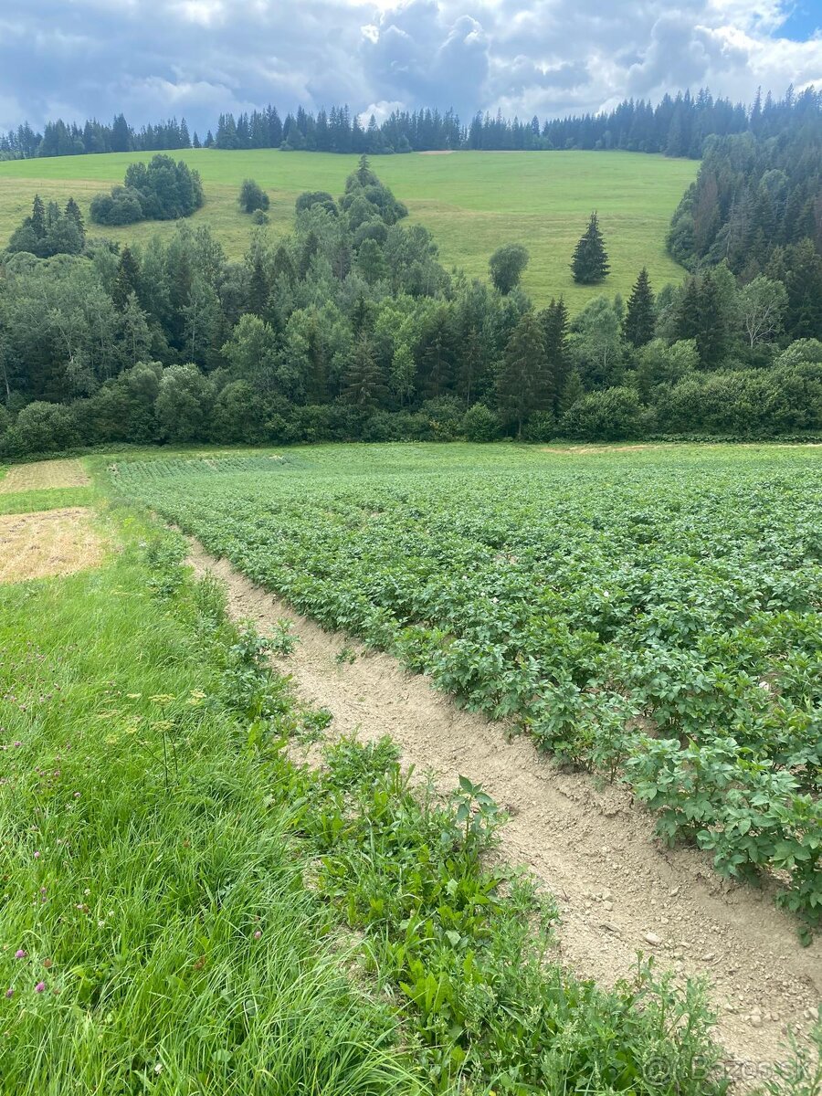 Domáce oravské zemiaky