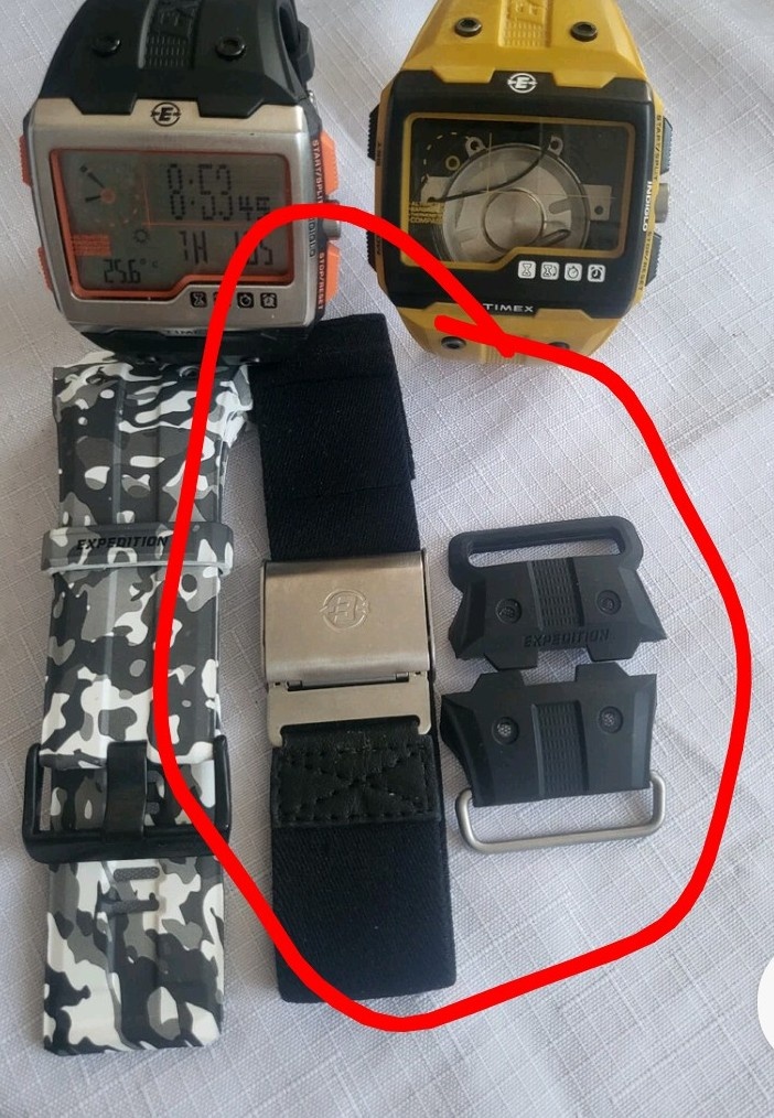 Timex expedition ws4...wide screen