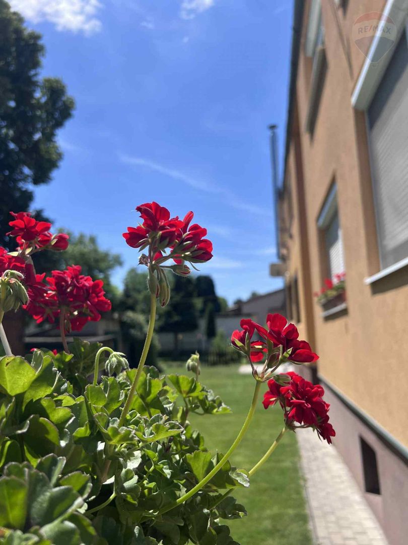 PREDAJ:3 izbový byt s garážou a záhradkou, blízko centra mes