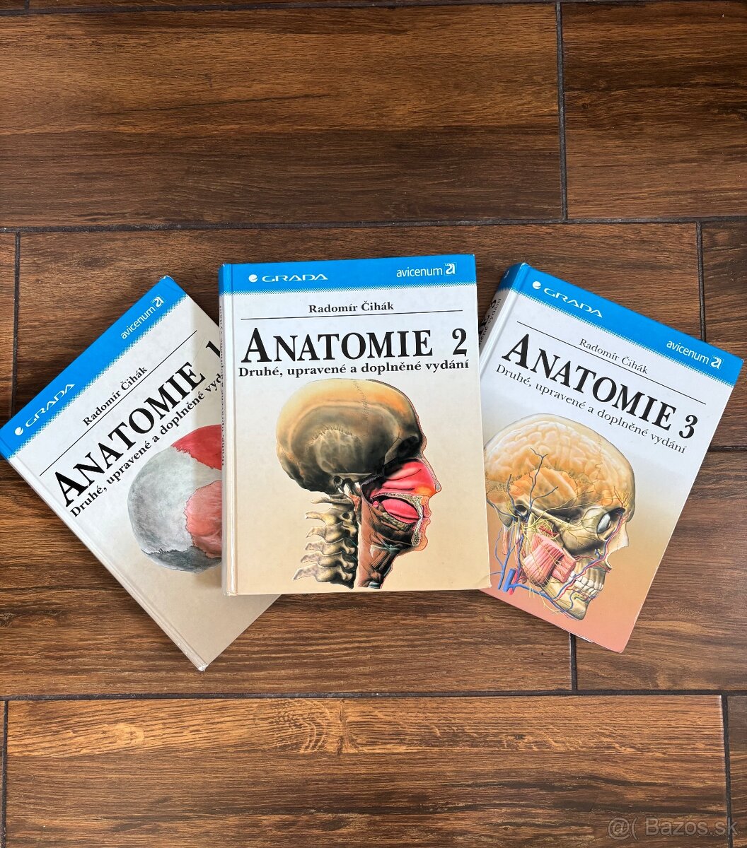 Anatomia Čihak 1,2,3