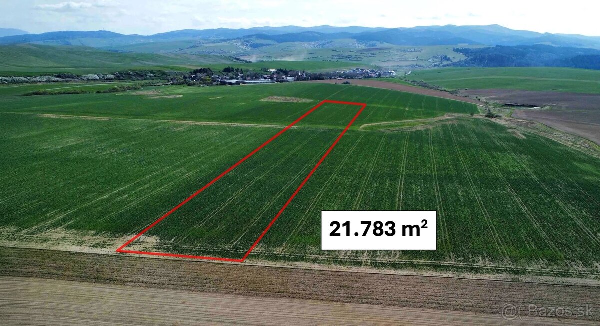 Podhorany – 21.783 m2 ORNÁ PÔDA v podiele 1/1 – Predaj