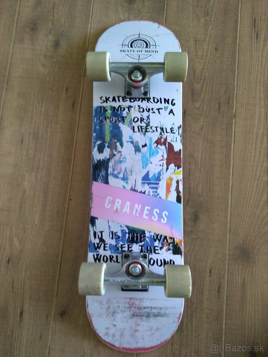 Skateboard Skate of Mind