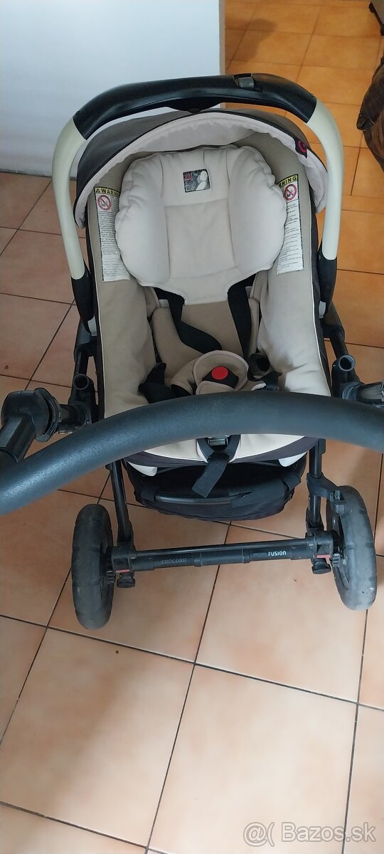 Kočik s vajičkom