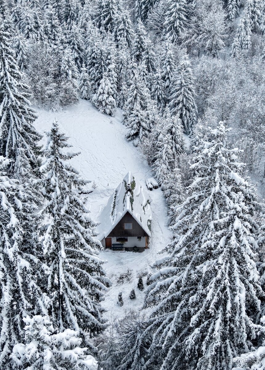 Chata v lese na Liptove