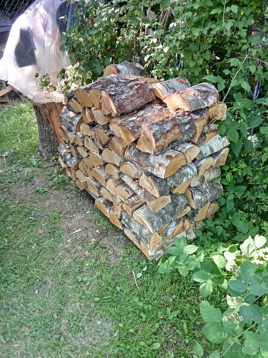Brezove drevo