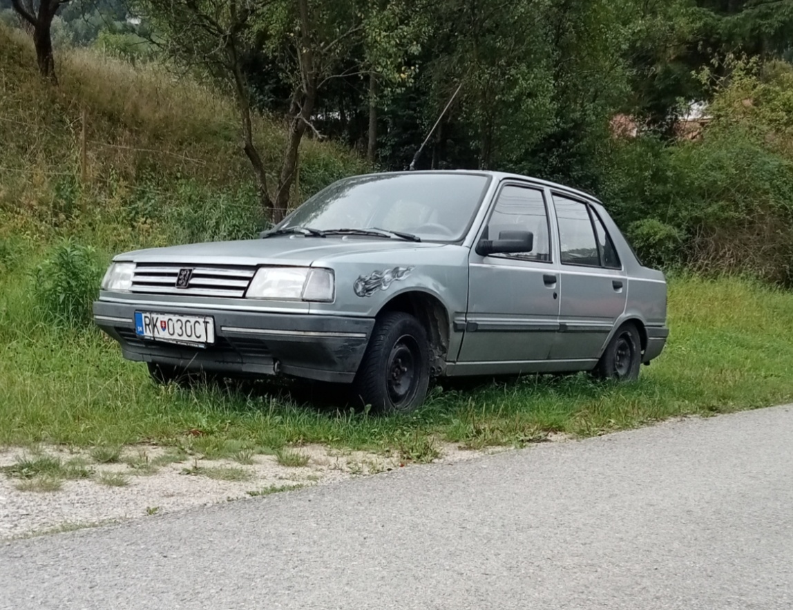 Peugeot 309 GRD