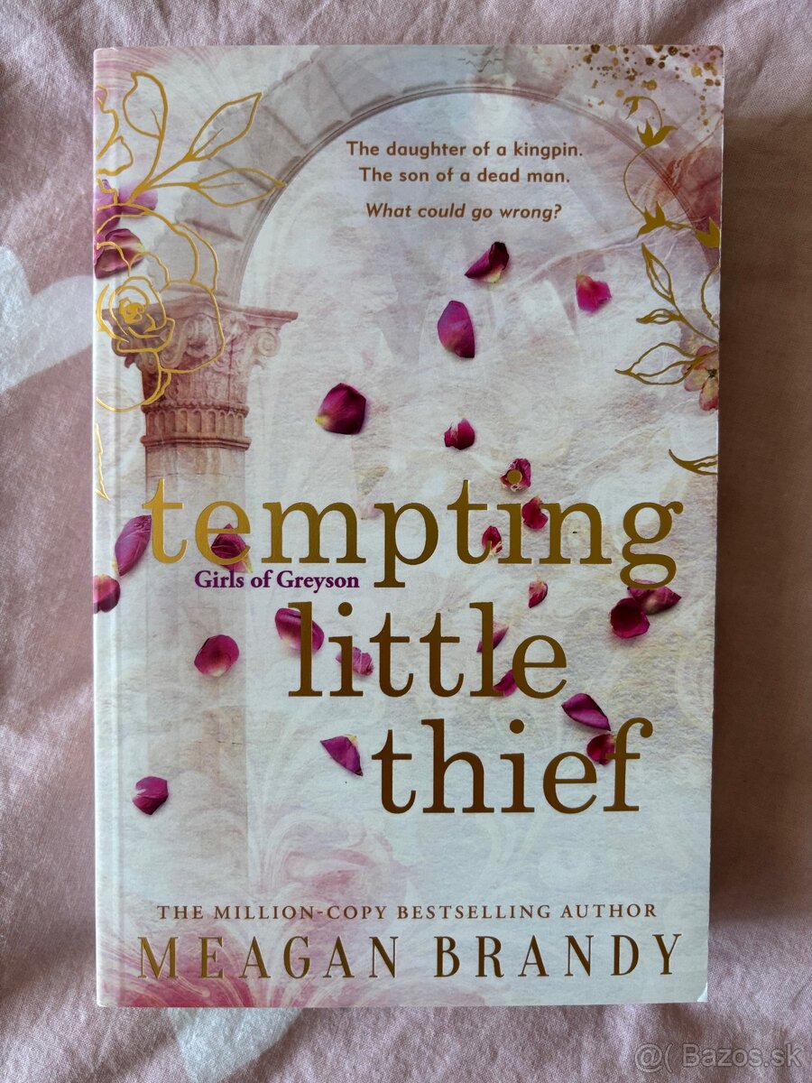 📖 Tempting Little Thief – Meagan Brandy