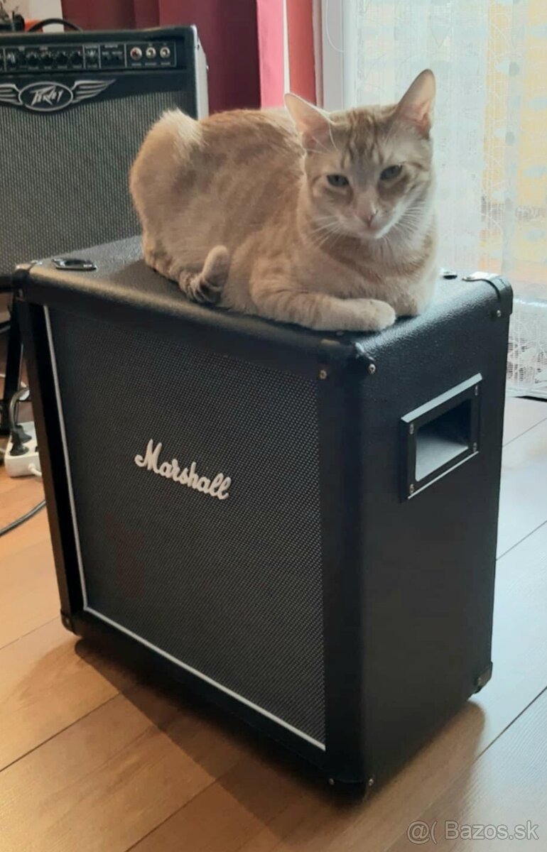 Predám Marshall box 112