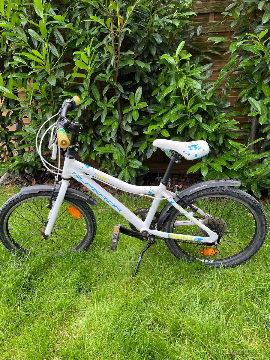 Detský bicykel Superior Paint 20