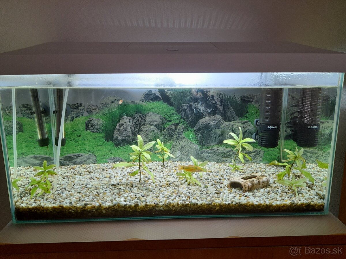 Komplet 60l akvárium.