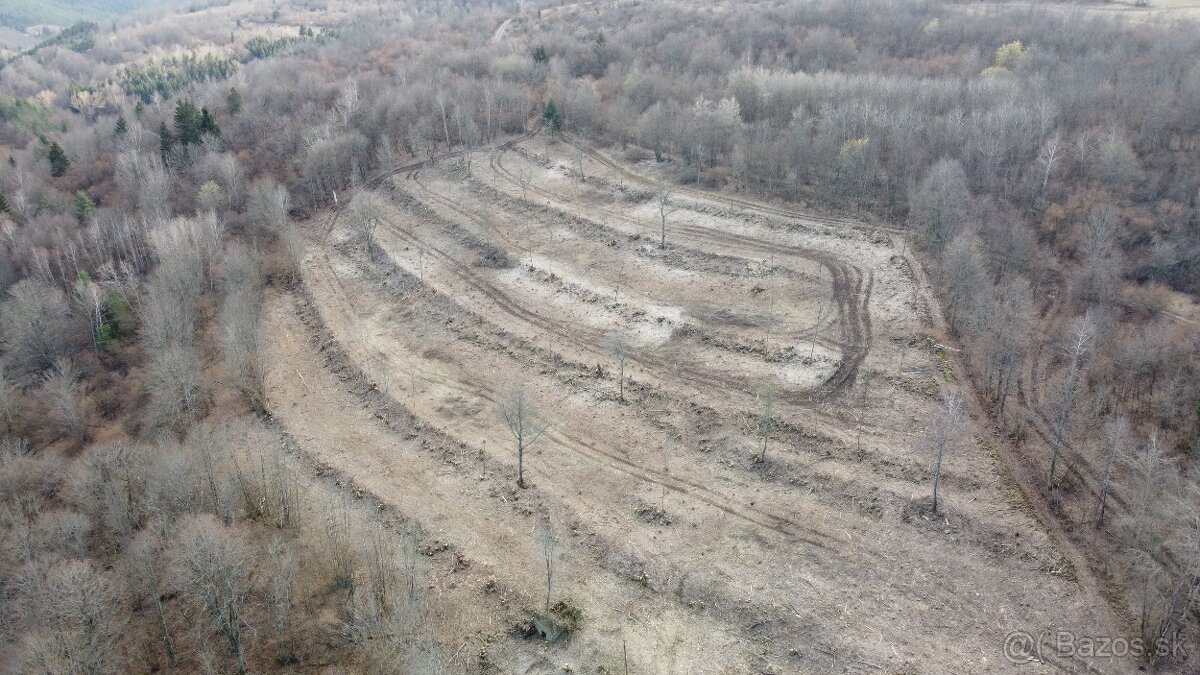 Predám pozemok (2,9ha) so súpisným číslom v obci Stará Huta