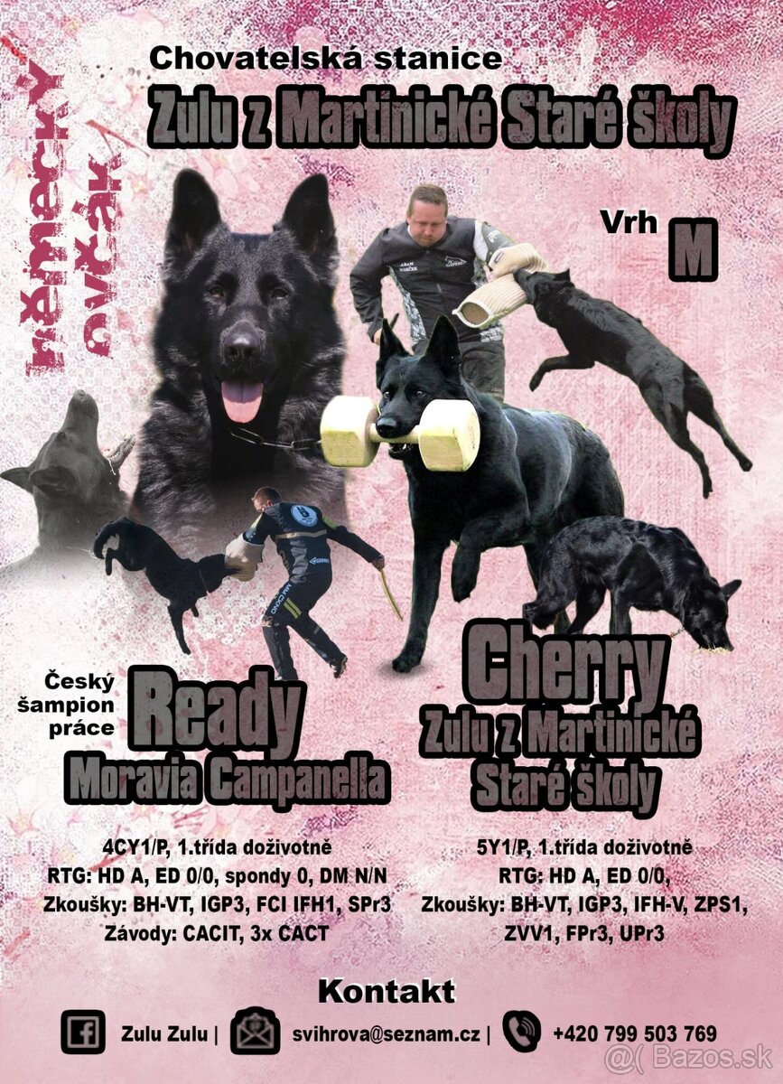 Nemecký ovčiak s PP
