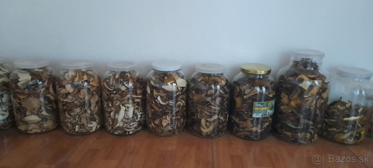 predám sušené  huby rok 2025