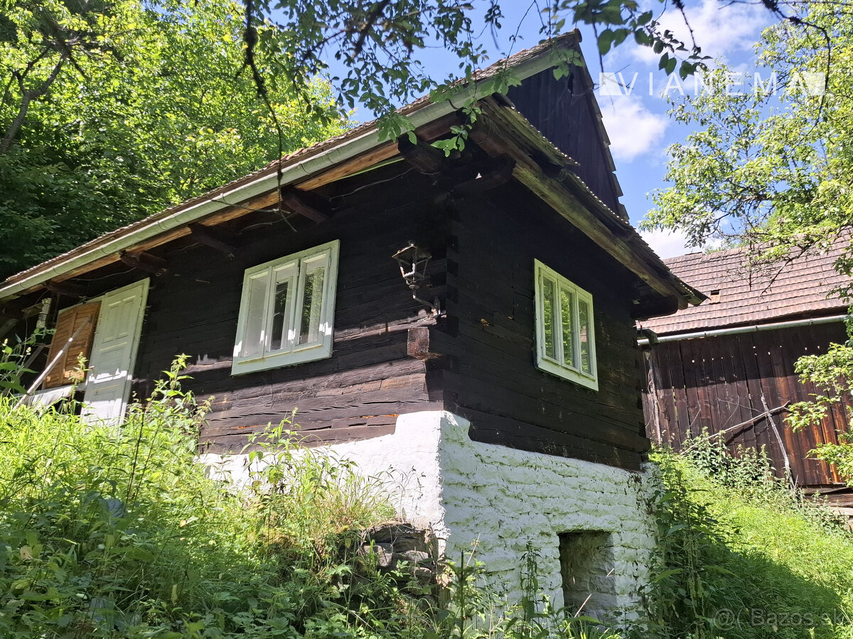 IBA U NÁS Pôvodná drevenica v horách-Dolná Mariková-Besné