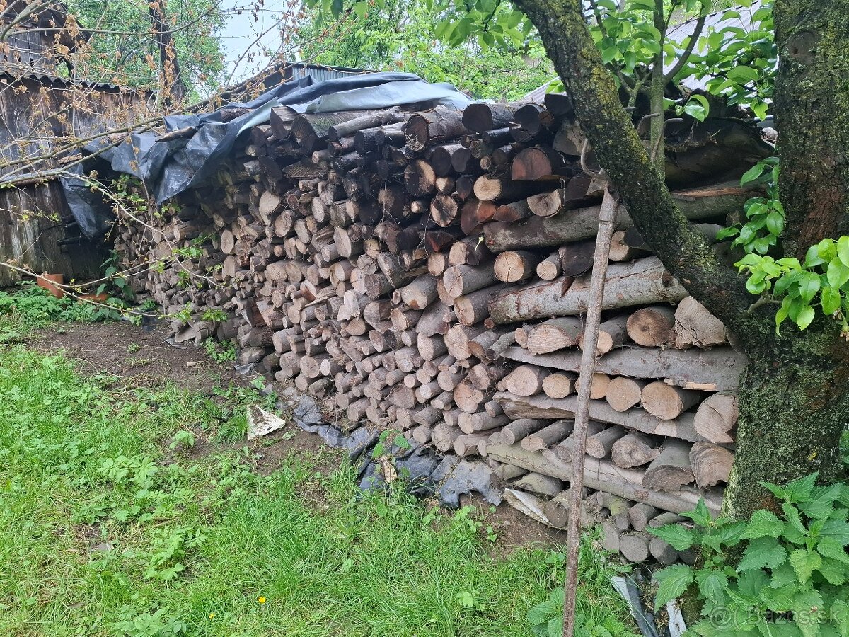 Palivové drevo suche