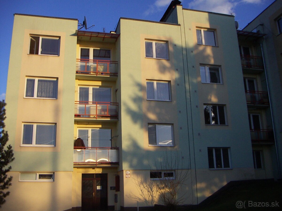 Prenajmem veľký 1-izbový byt (priamo od majiteľa)