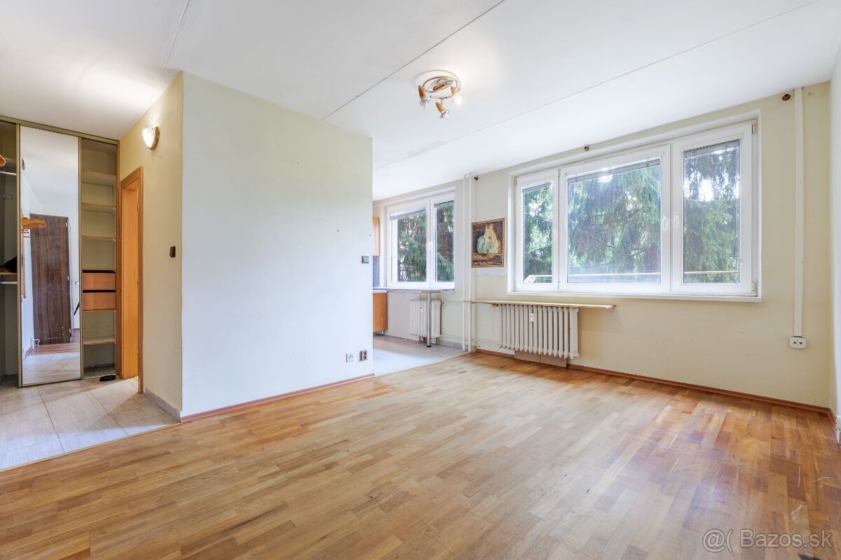 1-izbový, predaj, 28 m2, Michalovská, Košice - Západ