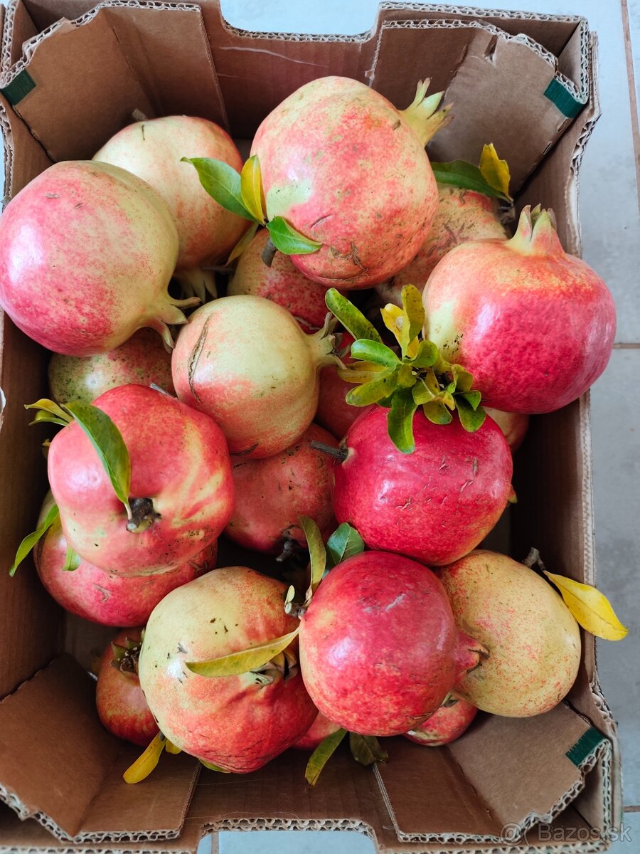 Gránátové jablko- Ovocie, nie rastlinka