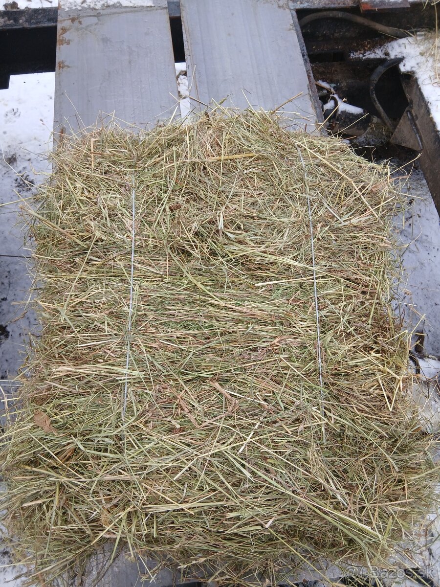 Predám malé hranaté baliký sena.