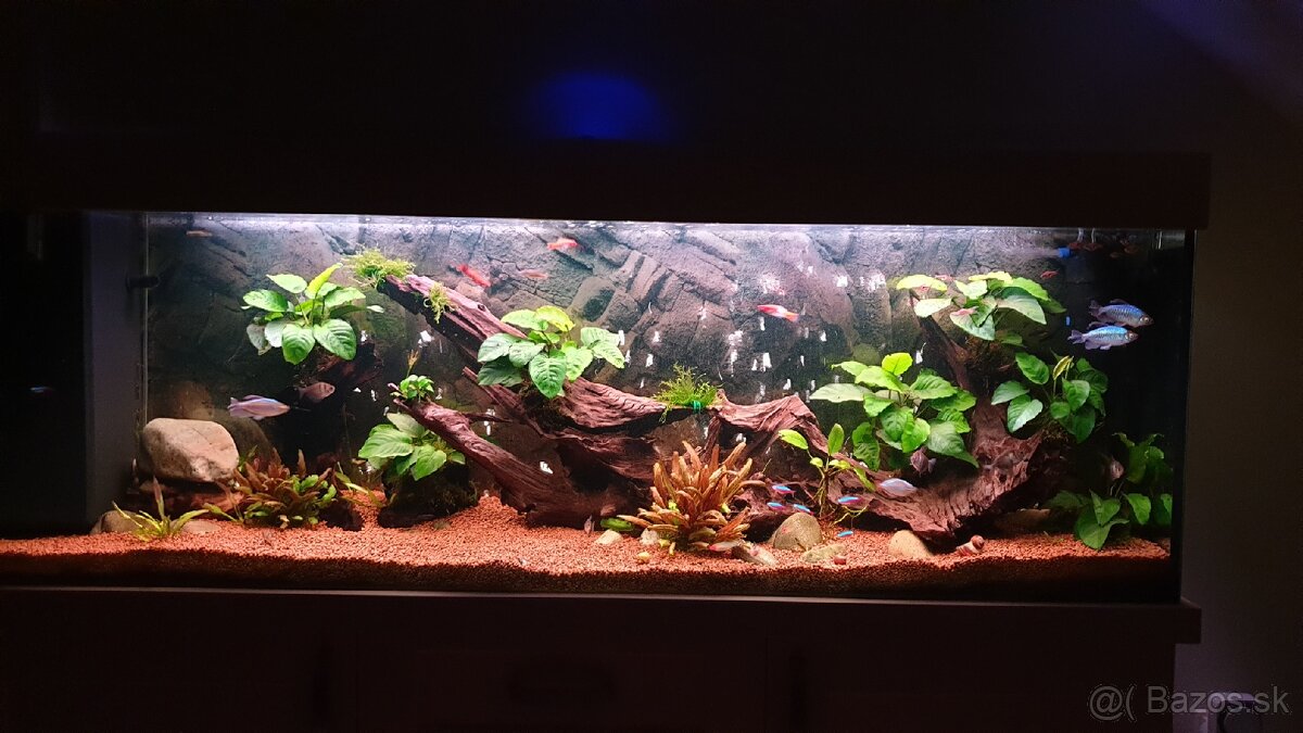 Akvarium + skryna a prislusenstvo