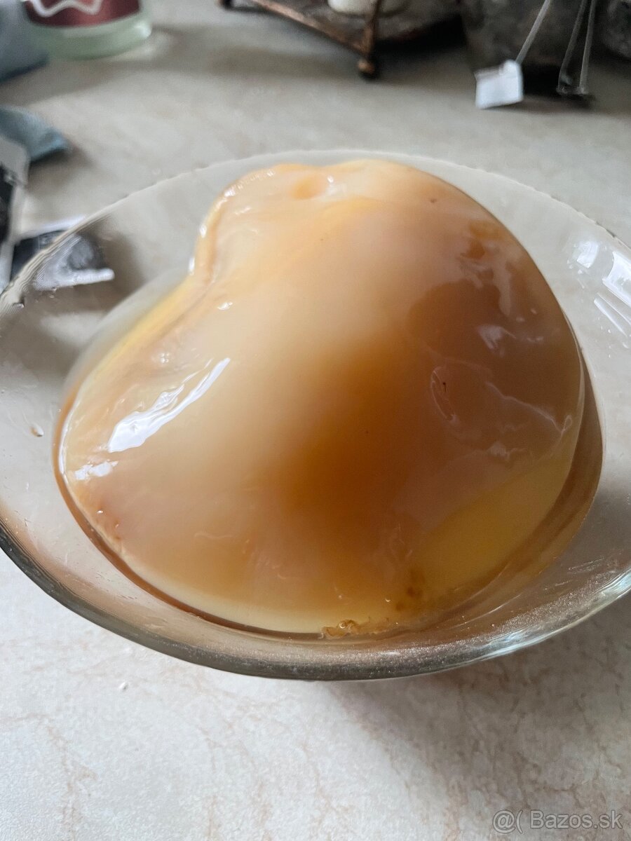Kombucha