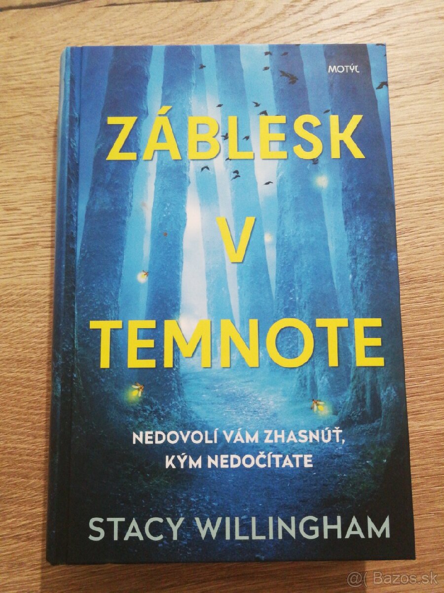 Stacy Willingham - Záblesk v temnote