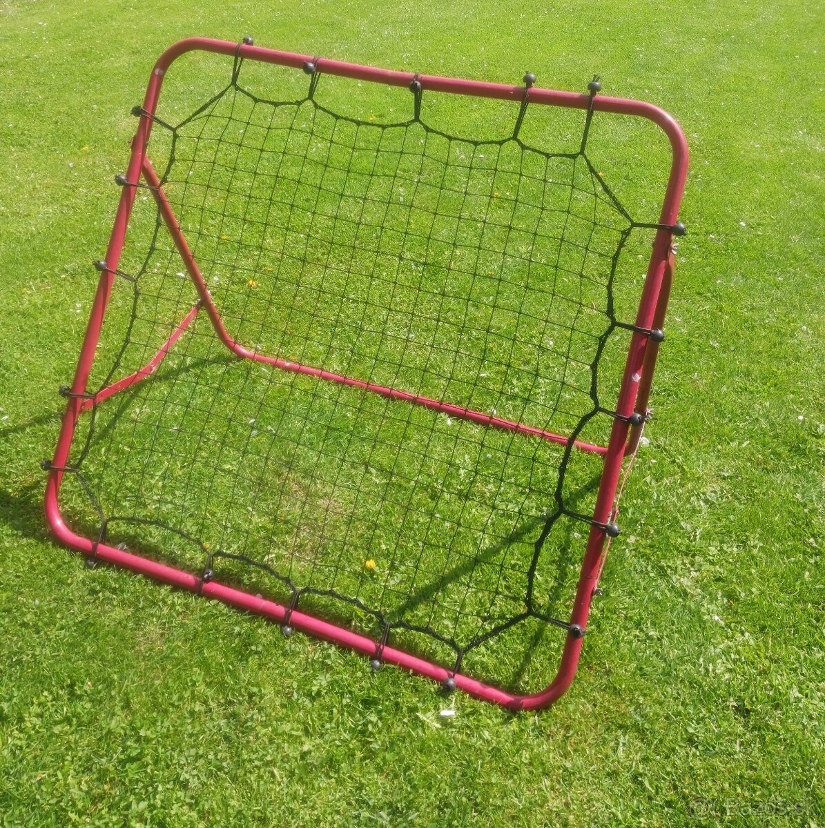 sieť