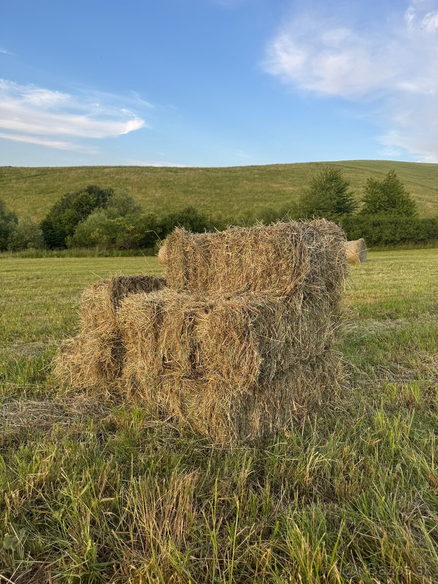 Kockaté balíky sena