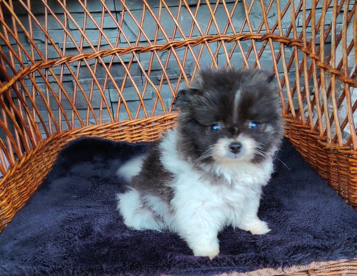 Pomeriaman mini