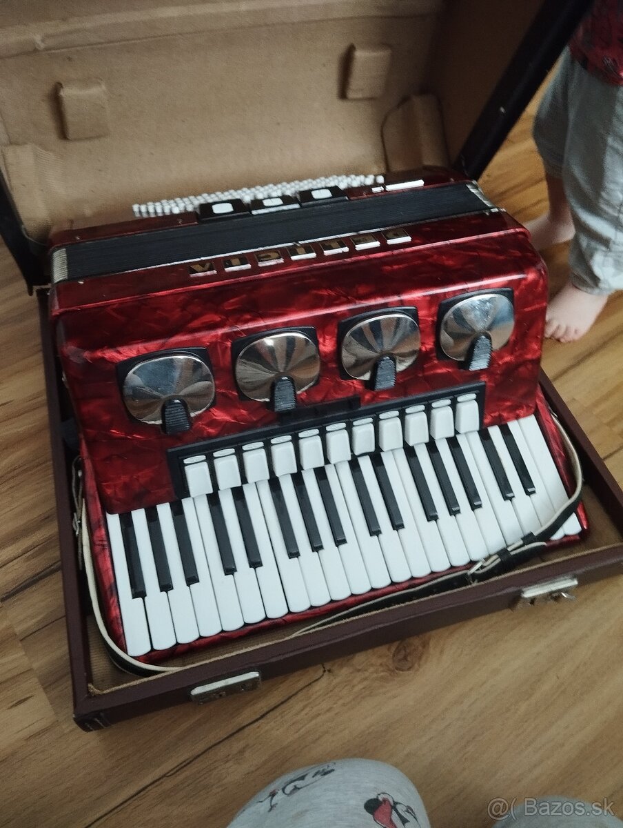 Akordeón, harmonika