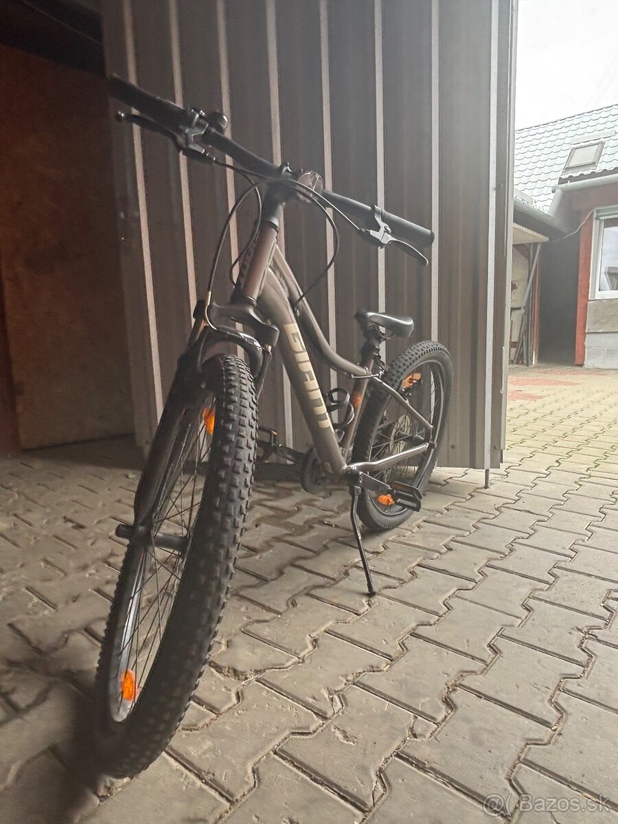 Horský bycikel