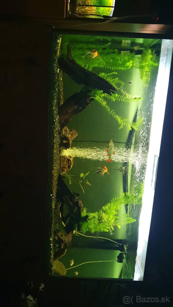 Akvarium 560L komplet