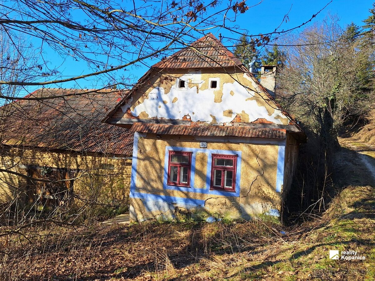 Predaj pôvodnej chalupy v Súši pri Starej Turej
